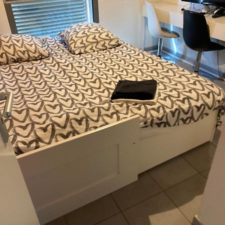 Superbe Appartement Avec Terrasse トゥールーズ エクステリア 写真